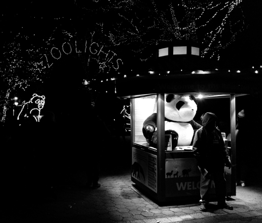 Zoo Lights, Washington, DC
